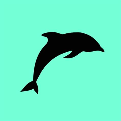 Dolphin Jump By Fernando Ruiz