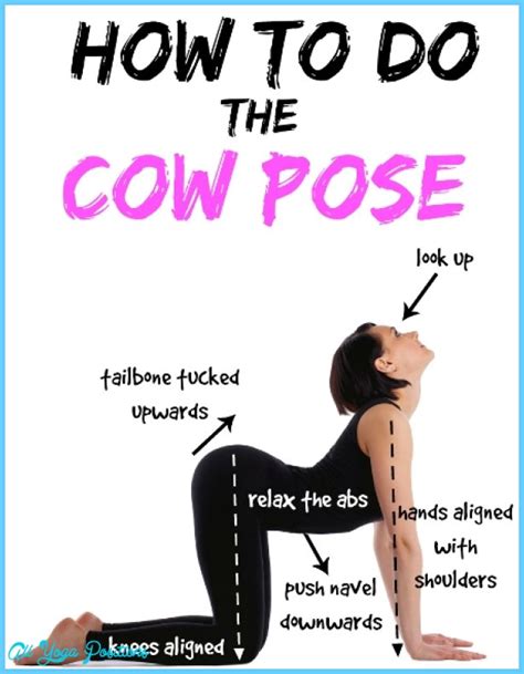 How to do cat pose. Cat Cow Pose Yoga - AllYogaPositions.com