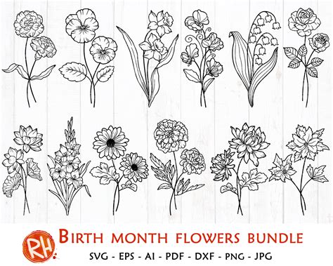 Birth month flowers svg bundle Birthday flowers silhouette | Etsy