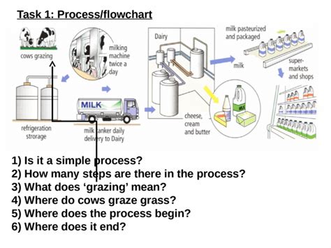 The Diagram Above Shows The Process Of Milk Production Write A Report