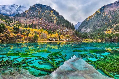 Five Flower Lake In Jiuzhaigu Valley China Gwcoepbot