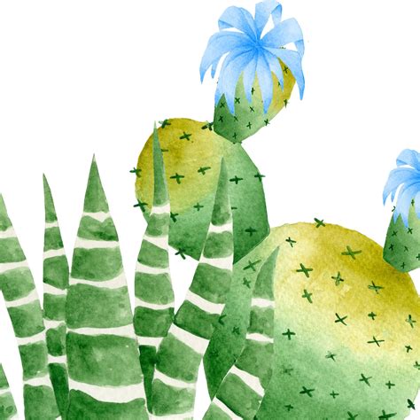 Cactus Clipart Desert Cactus Clipart Cactus Illustration Etsy