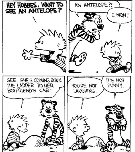 Watching An Antelope Can Be Very Dramatic Calvin And Hobbes Humor