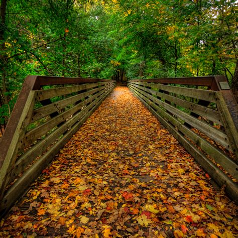 Autumn Bridge Toronto Canada Photo On Sunsurfer