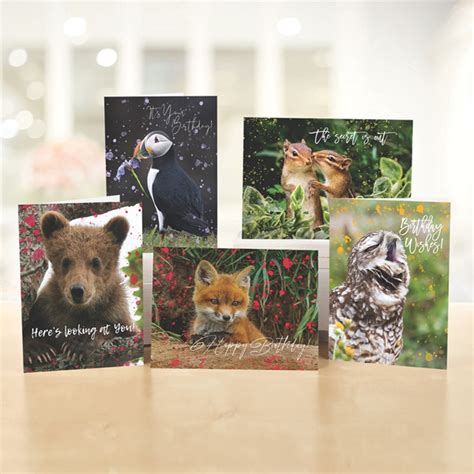Cards The National Wildlife Federation