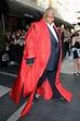 André Leon Talley - All the Looks From the Met Gala 2015 - The Cut