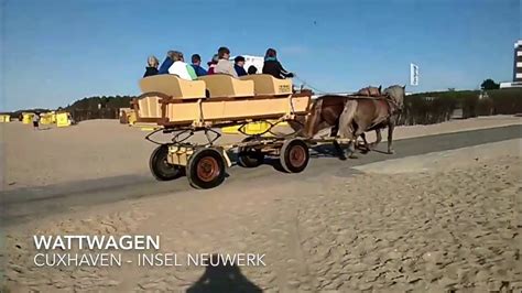 Wattwagen Zwischen Cuxhaven Und Der Insel Neuwerk Youtube