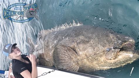 Operating Nurse Fishing For Monster Fish In Florida Sharks And Goliath Grouper Cape Coral