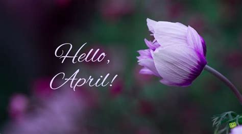 Hello April Images Pictures Photos Wallpapers For Facebook Tumblr