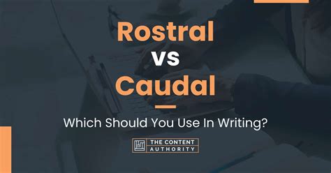 Rostral Vs Caudal Which Should You Use In Writing