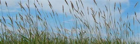 Nature Canada Prairie Grasslands Our Most Threatened Ecosystem