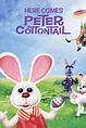 Here Comes Peter Cottontail (1971) - Posters — The Movie Database (TMDB)