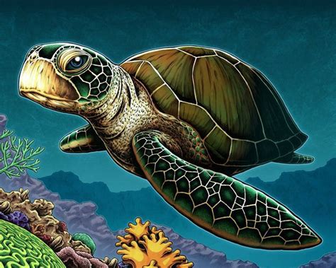 Pin By Karen Davis On Tank Sea Turtle Art Sea Turtle Painting Sea