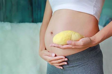 Penelitian juga menunjukkan, durian mengandung vitamin serta senyawa yang bermanfaat untuk menjaga kesehatan ibu hamil. Makan Durian Saat Hamil, Aman atau Berbahaya? - Alodokter