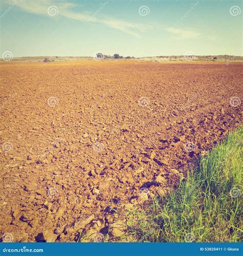 Sandy Soil Stock Image Image Of Ecology Landscape Israel 53820411