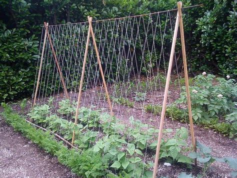 From simple to stunning, these designs fit every kind of garden. Tomato DIY: Pruning and Trellises | Tomato trellis diy ...
