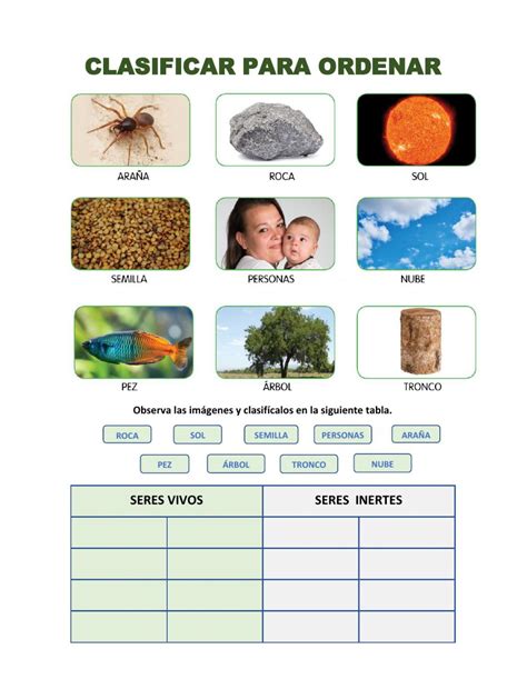 Maestra De Primaria Seres Vivos Y Seres Inertes Características De