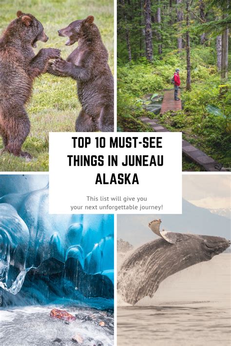 10 Top Things To Do In Juneau Alaska Juneau Alaska Things To Do In