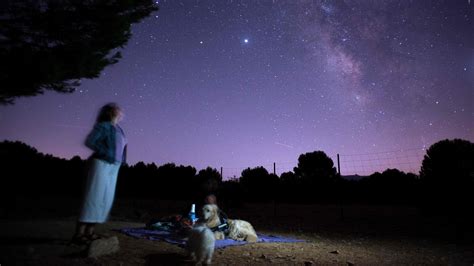 Meteor Showers In 2021 That Will Light Up Night Skies The New York Times