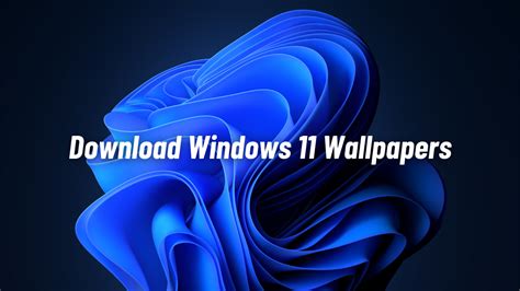 Windows 11 Dark Bloom Wallpaper