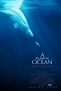 Die sechs besten Filme für Ozeanfreunde - Filme für die Erde