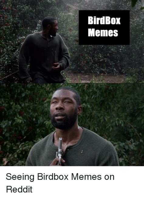 birdbox memes meme on me me