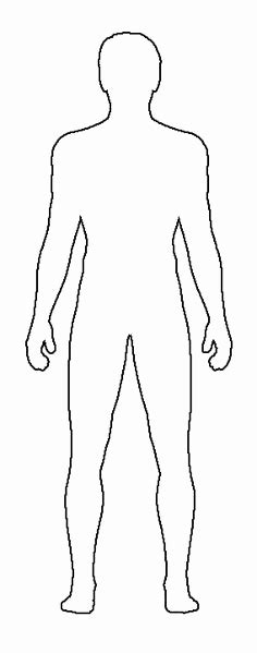 Female Body Diagram Human Female Internal Organs Anatomy 3d