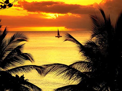 Schönes Hintergrundbild Sonnenuntergang Natur Palme Download kostenlose Hintergrundbilder