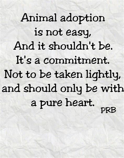 Animal Adoption Is A Lifetime Choice Be Prepared To Make A Commitment