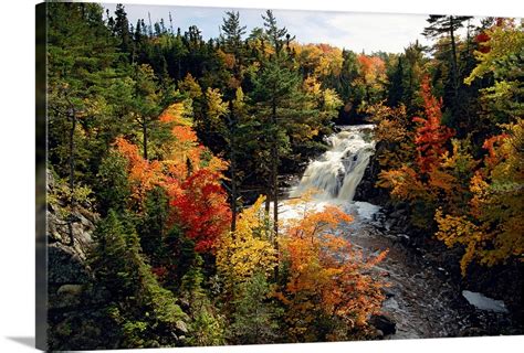 Waterfall In Between Fall Colors In A Forest Wall Art Canvas Prints