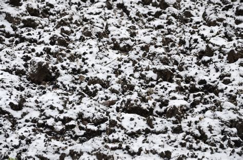 Premium Photo The Texture Of The Ground Covered With A Thin Layer Of