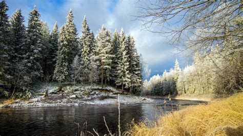 High Quality Image Of River Picture Of Forest Landscape Imagebankbiz