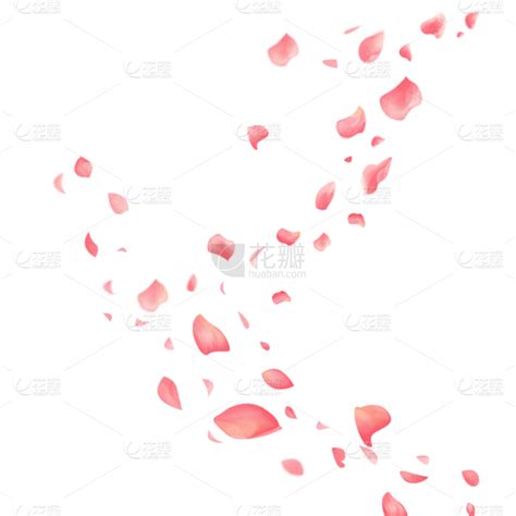 粉色漂浮花瓣元素6