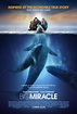 Release Day Round-Up: BIG MIRACLE (Starring Drew Barrymore and John ...