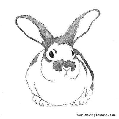 Dieren kleurplaat moeilijk kleurplaat konijn download gratis konijn kleurplaten. Een konijn tekenen / Overig / Zoogdieren / Dieren tekenen ...