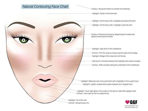 this chart will turn you into a highlighting and contouring pro contour makeup contouring