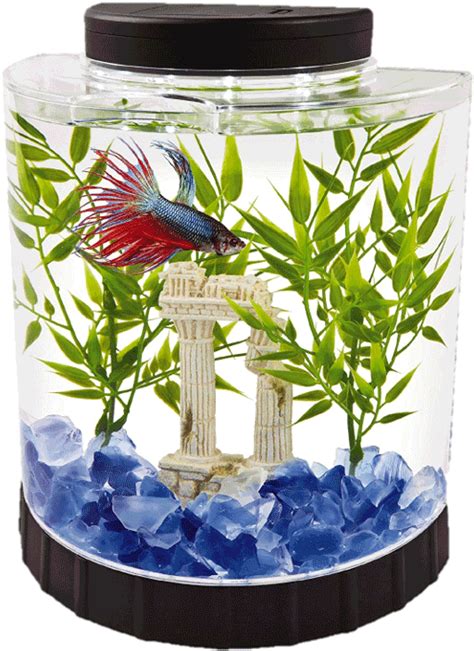 Aquarium Fish Tank Png Images Transparent Background Png Play