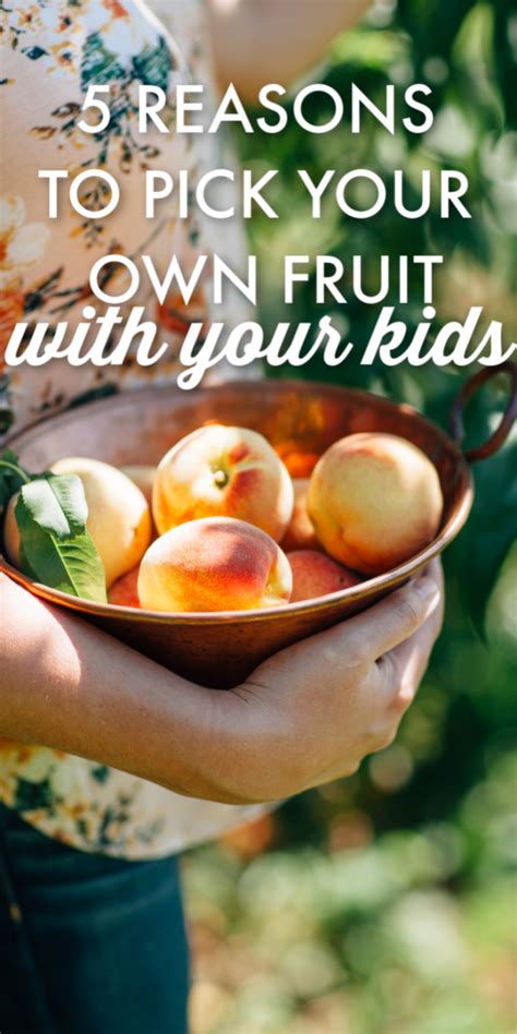 5 Reasons To Pick Your Own Fruit With Your Kids