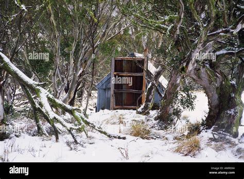 Hut And Snow Gum Trees In Winter Mount Hotham Victoria Australia