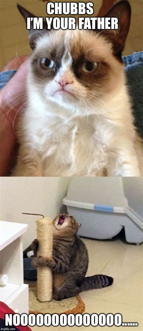 Image Tagged In Memes Grumpy Cat Over Dramatic Cat Funny Luke Nooooo Imgflip