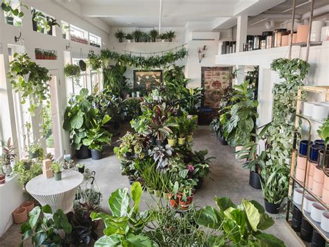 These 7 Awesome Plant Stores Will Help Up Your Interior