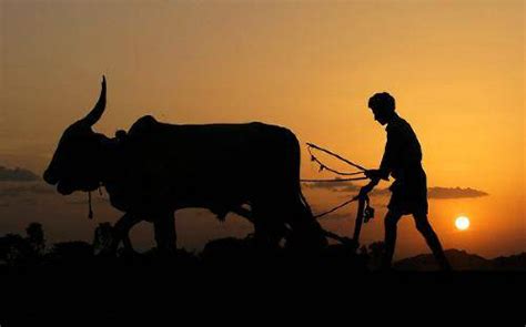 Indian Farming Images Hd Farming Mania