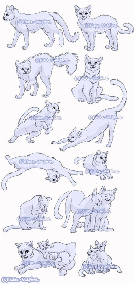 12x Cat Pose Pack By Littlevulpine On Deviantart Cat Reference Drawing