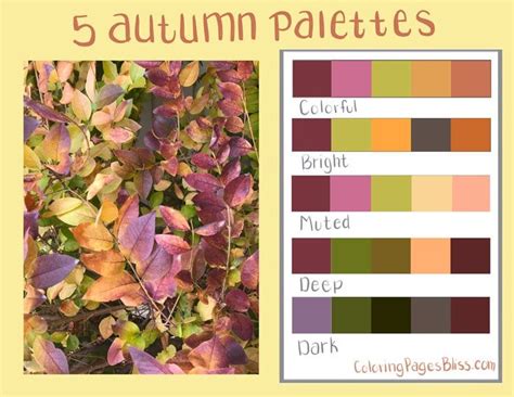 The Color Scheme For Autumn Leaves Is Shown In Red Yellow And Green