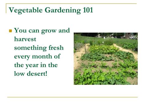 Ppt Vegetable Gardening 101 Powerpoint Presentation Free Download