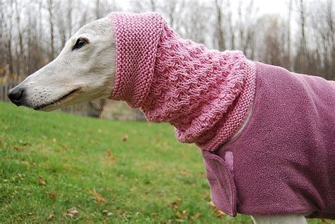 The Shelby Snood For Average Female Greyhound Crochet Dog Sweater