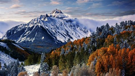 Wallpaper Sneffels Mountain Trees Winter Forest 4k Nature 17394