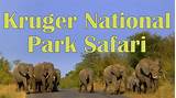 Images of Safari Kruger National Park