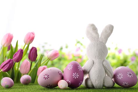 Desktop Hintergrundbilder Ostern Kaninchen Ei Feiertage