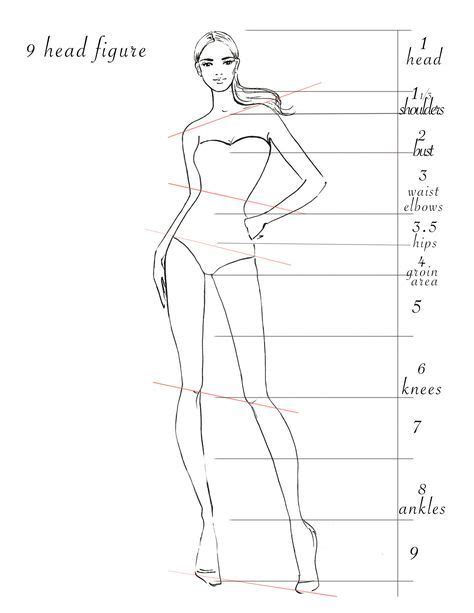 How To Draw A Fashion Figure 9 Heads Tall Figure Fashion Illustration